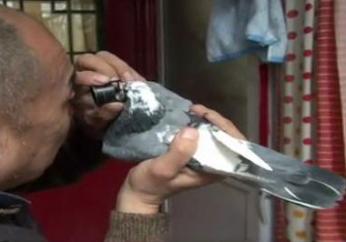 ������Զ��̸��˵����Ƶ(3)