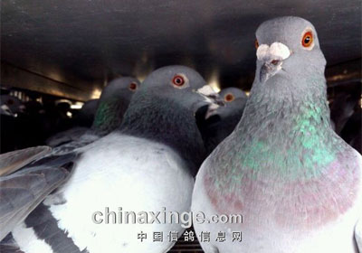 ���ս����������50��������(ͼ)