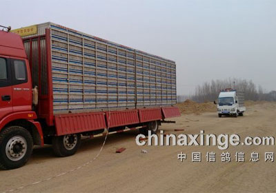 ��ɽ��С�����׹�����ɼ���¯(ͼ)