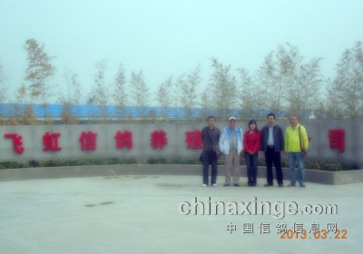 �и�Э�쵼�Ӳ������ɺ紺��(ͼ)