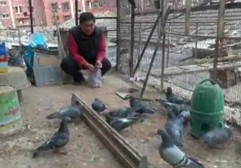 ������ǿ����ġ��������͡����֡�(��Ƶ)