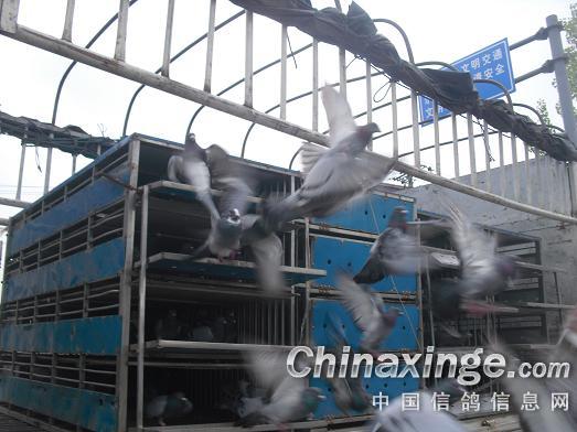 ����潭��ͷð���ŷ�(ͼ)