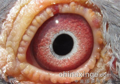 ״̬���˿����(ͼ)