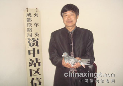 �Ĵ����У����İ�����ǰ����(ͼ)