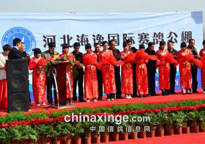 �ӱ����ݹ������빫�￪ҵ����(ͼ)