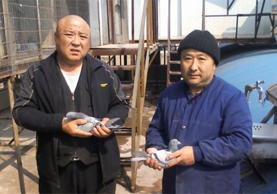 ��������԰���ֲ�300����ǰʮ��(ͼ)