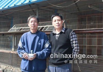 ����������350����ǰʮ����Ƭ