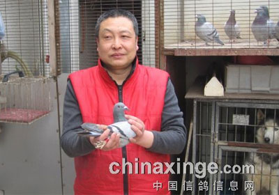 ʯ��ɽ��ս300����ǰʮ�����(ͼ)