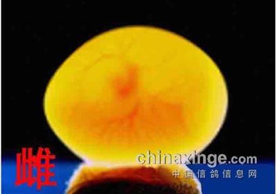 ������ۼ�����(ͼ)