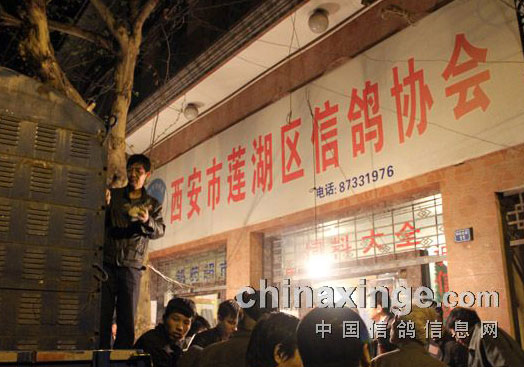 ���������״����������뻨��(ͼ)