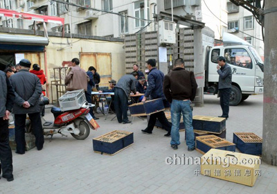 ֣������Ե�����ѱ�������(ͼ)