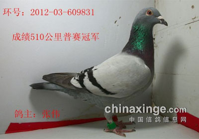 �ӱ�������ֲ���������������(ͼ)