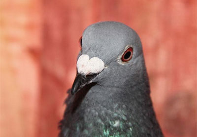 ����������ֲ�����վ�ھ�����(ͼ)