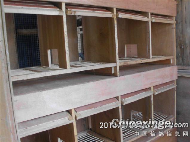 �Լ�����������(ͼ)