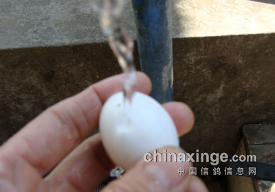 ʹ����ͬʱ���ǵķ���(ͼ)