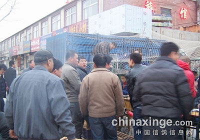 �����ļҾ��ֲ��������չ���ʮ��(ͼ)