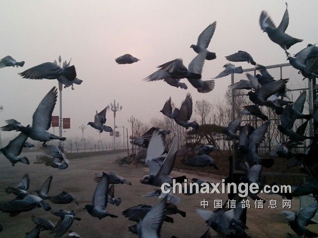 ����������ͬ�վ�������ʱ�ɼ���¯