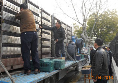 ���ո��ʸ�Э��ѵ����(ͼ)