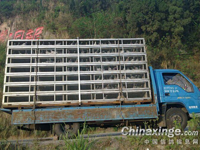 �Ĵ���������̶��Э��Ϫѵ����(ͼ)