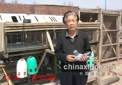 �������260�������ǰʮ����Ƭ