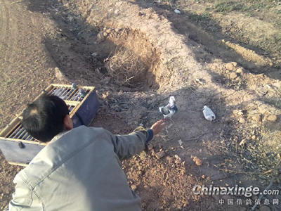 ��Ц���õ�60���ﵥ��(ͼ)