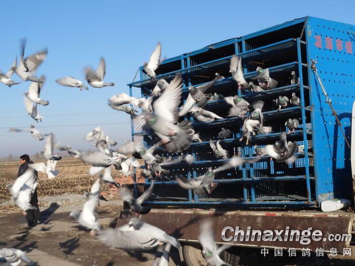 �����躣500����»ݿ���