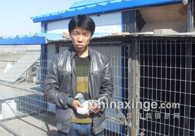 ���������һ��ǰʮ������(ͼ)