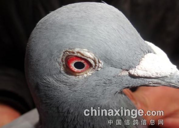 ɽ���ػ�ͷ200����ǰʮ������(ͼ)