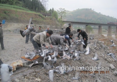 ���������ظ�Э��������(ͼ)