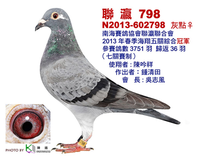 ̨���Ϻ���孴���������Ǿ�(ͼ)