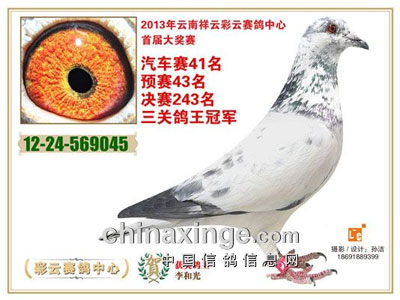 ���ϲ��ƹ������ǰʮ��������Ƭ