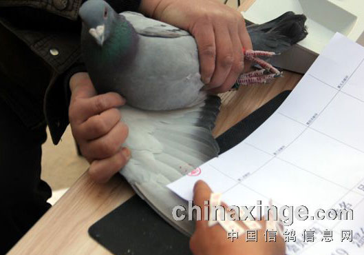 �����������ֲ������д���(ͼ)