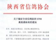 �����Ÿ����H7N9������(ͼ)