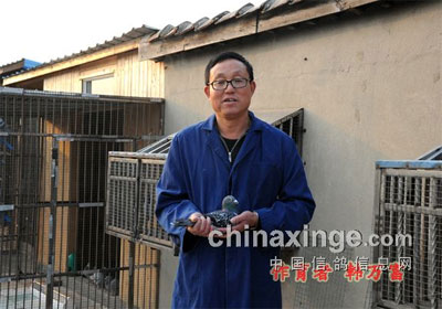 �Ϻ���纫���������������֮��(ͼ)