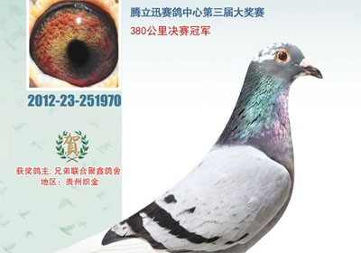 ����ʯ�ֹ������ǰʮ������(ͼ)