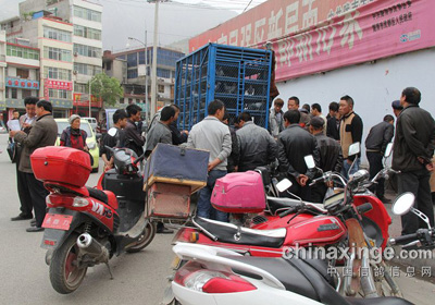 ����¤�ϴ���500���Ｏ�뻨��(ͼ)