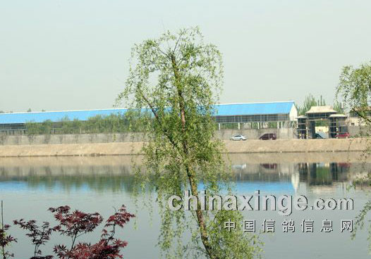 �����߽�������������(ͼ)