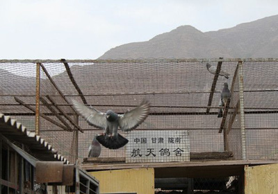 ����¤��500�ﴺ�������ձ�(ͼ)