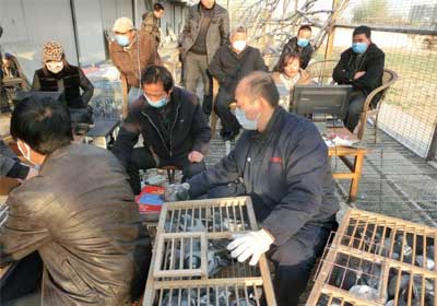 ��³�׼Ѵ�1��Ԥ���ɼ�(ͼ)