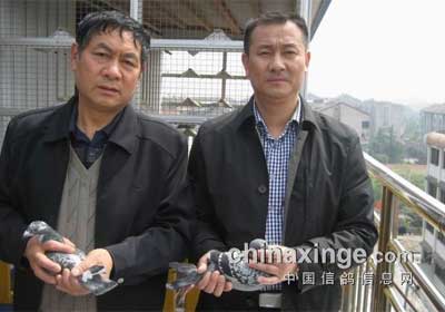 �����еڶ����һ�����ǰ����(ͼ)