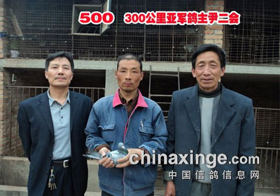 �����������500����ǰ�������(ͼ)