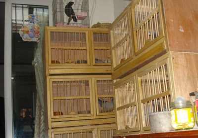 ���ڸ���ĸ���(��)