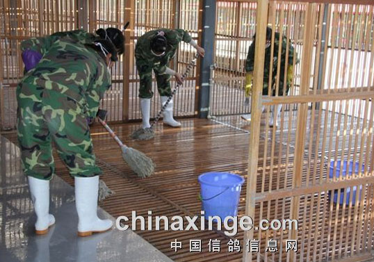 ���ϲ��£���ѧѵ�� Ӯ��ϸ��(ͼ)