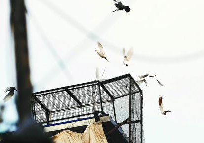 ����Ϊɶ��������(ͼ)