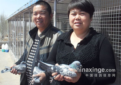 ���������ᴺ���ڶ���ǰʮ����Ƭ