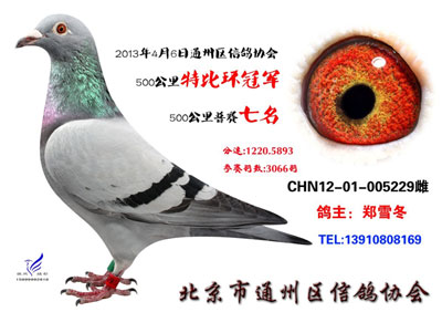 ����ͨ��500�����ر�ǰʮ������(ͼ)