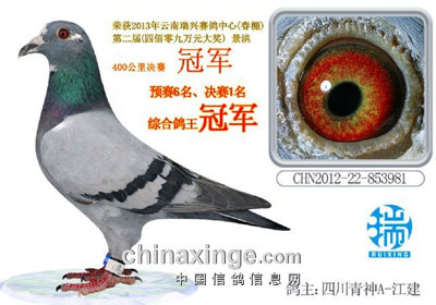 �������˹����������ǰʮ������(ͼ)