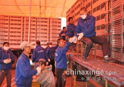 ͨ�ɴ���150�������1726(ͼ)