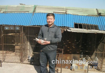 ����ʯ���ֻ�300����ǰʮ��(ͼ)