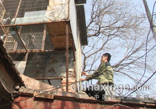 ͼ�ı���������80���γ��ɼ��Ȼ(��)